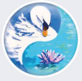 Réflexologue pour soins énergétiques et spirituels Castelnau le Lez Le Cygne du bien-être