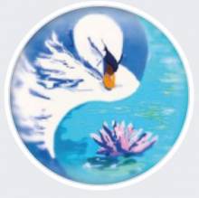 Réflexologue pour soins énergétiques et spirituels Castelnau le Lez Le Cygne du bien-être